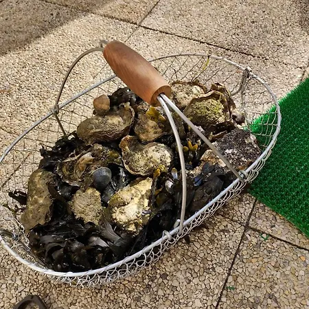 Sam Su Fi Maison De Bord De Semesterbostad *