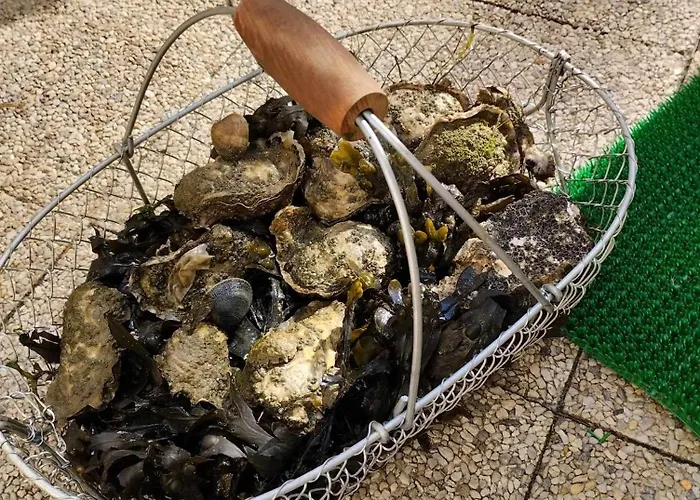 Sam Su Fi Maison De Bord De Semesterbostad *