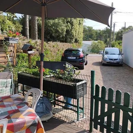 Sam Su Fi Maison De Bord De